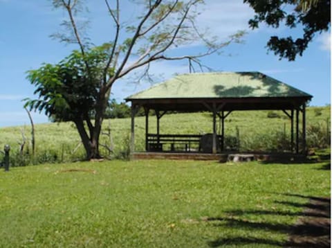 Natural landscape, Garden view