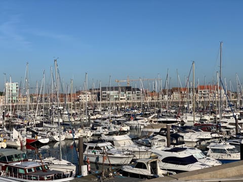 Natural landscape, Activities, City view, Sea view