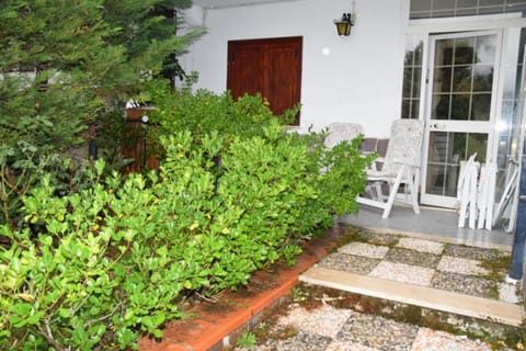 Patio, Garden view