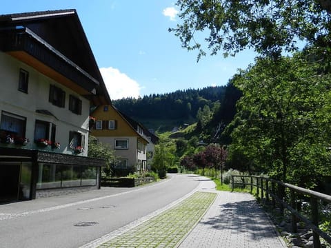 Ferienwohnungen in Schönmünzach Appartement in Forbach