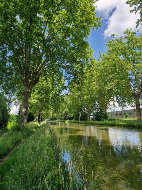 Spring, Natural landscape, River view