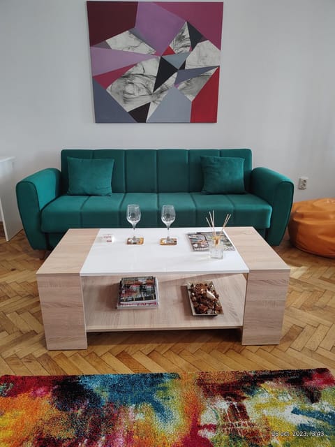 Apartment in Marschall Palace Wohnung in Timisoara