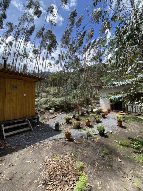 Property building, Natural landscape