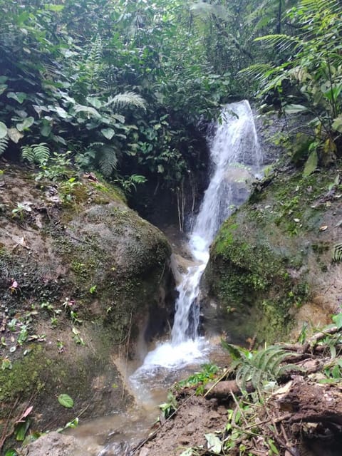 Cabaña En El Bosque Country House in Chiriquí Province