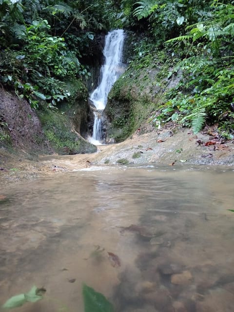 Cabaña De Montaña Con Jacuzzi Country House in Chiriquí Province