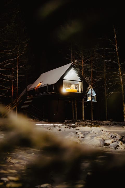 Property building, Night, Natural landscape, Winter