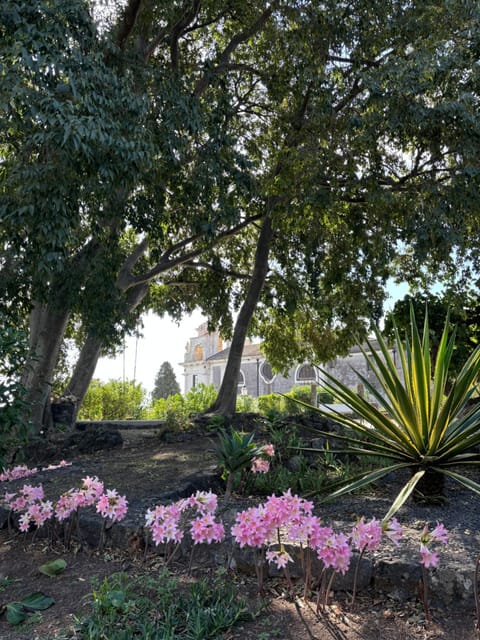 Natural landscape, Garden view, Inner courtyard view