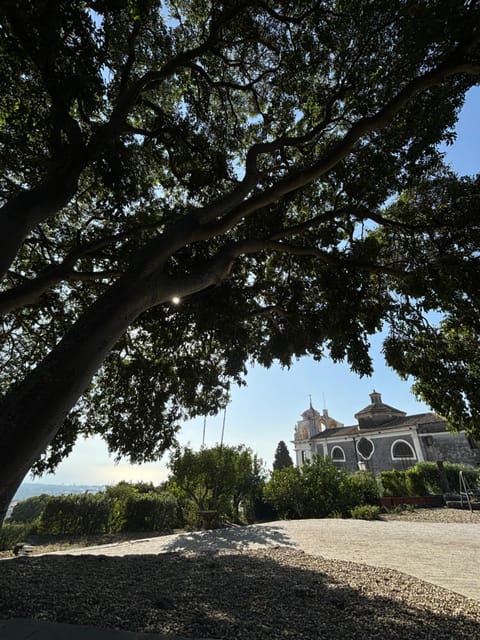 Natural landscape, Inner courtyard view