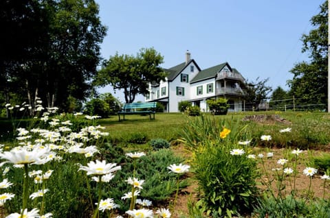 Property building, Spring