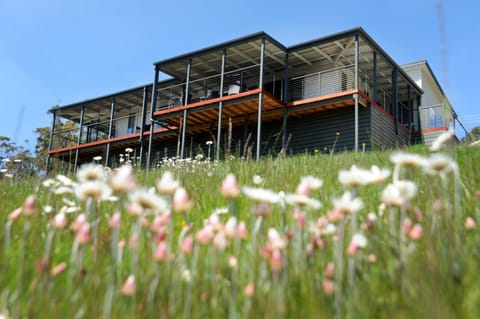 Property building, Facade/entrance, Bird's eye view, Garden