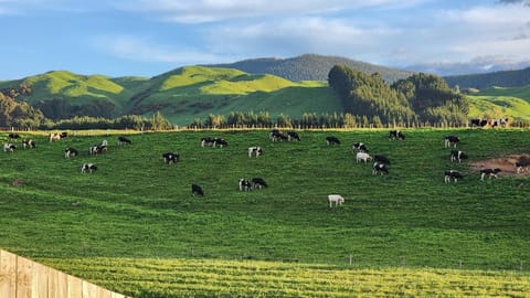 Natural landscape, Mountain view