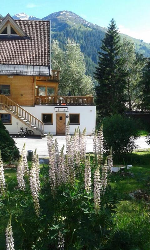 Alexandra Alber Villa Schlosskopf Bed and Breakfast in Saint Anton am Arlberg