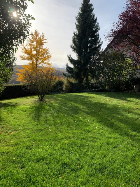 Garden view, Mountain view