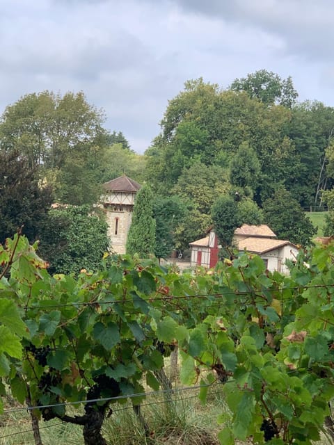 La Dépendance de Bazin House in Marmande