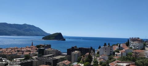 The Old Town Viewpoint Apartments Apartment in Budva