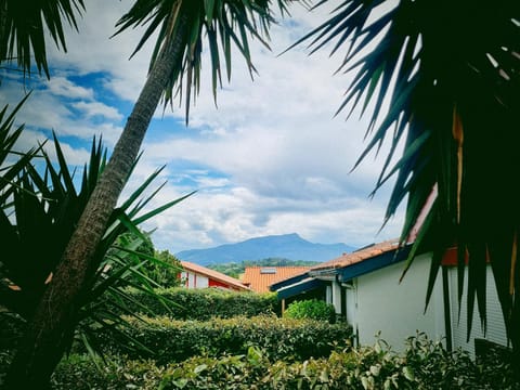 Natural landscape, Mountain view