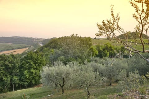 Spring, Day, Natural landscape