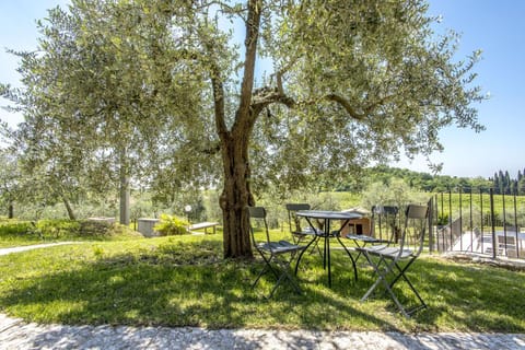 Spring, Day, Natural landscape, Garden, Dining area, Garden view