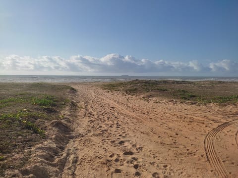 CASA DE PRAIA JATOBÁ House in State of Sergipe, Brazil