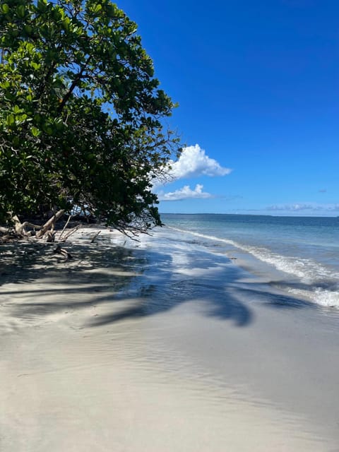 Ponci’s Gate to Gaia Holistic Center Bed and Breakfast in Bocas del Toro Province