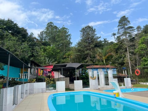 Day, Pool view, Swimming pool, sunbed