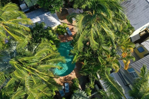 Spring, Day, Natural landscape, Garden, Garden, Garden view, Swimming pool