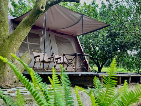 Suối Camp Luxury tent in Ba Ria - Vung Tau