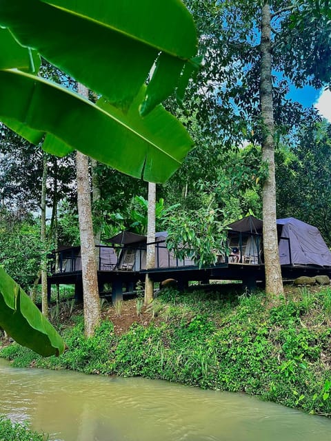 Suối Camp Luxury tent in Ba Ria - Vung Tau