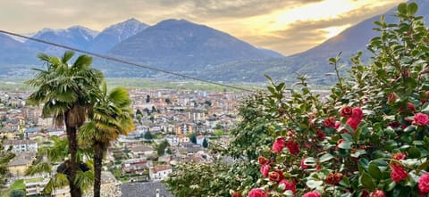 B&B Villa Moro - Family House Übernachtung mit Frühstück in Domodossola