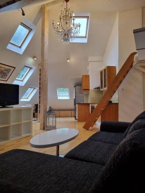 Penthouse Linnegatan Apartment in Gothenburg