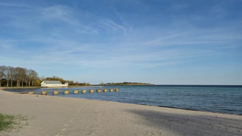 Day, Natural landscape, Beach