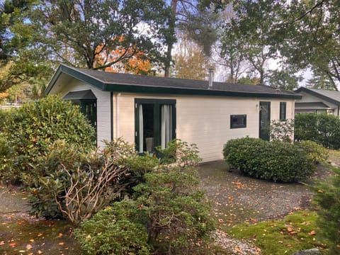 Property building, Garden view