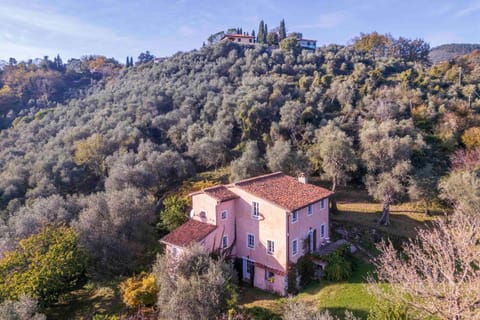 La Casa Dei Limoni, Camaiore, Toscana, Indipendent House With Private Outdoor Garden Chalet in Camaiore