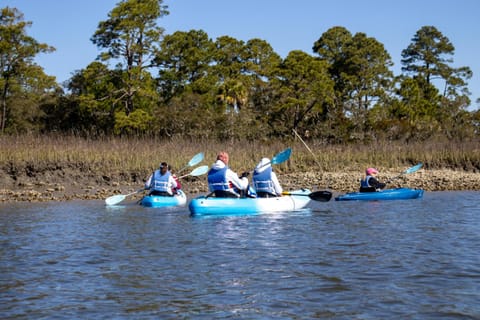 371 Tarpon Blvd Haus in Fripp Island