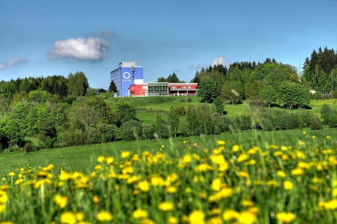 Hotel Am Bühl Hôtel in Erzgebirgskreis