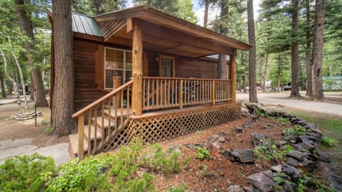 The Iris Cabin #1 at Blue Spruce RV Park & Cabins Campground/ 
RV Resort in La Plata County