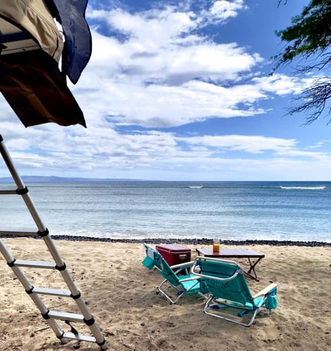 Day, Natural landscape, View (from property/room), Beach, Sea view