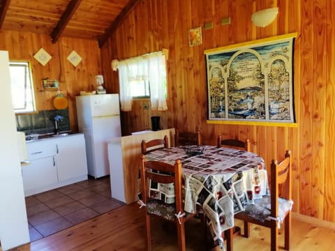 Cabañas Newen-Zomo House in Pucon