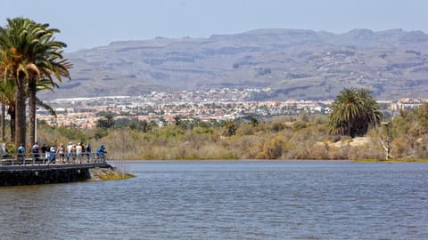 Natural landscape, Lake view