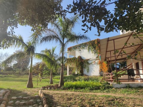 Property building, Garden view