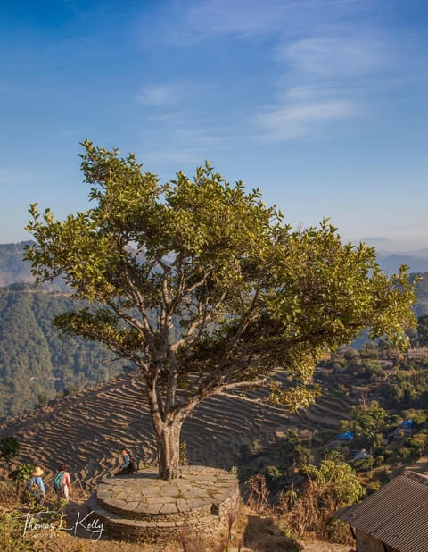 Activities, View (from property/room), Landmark view, Mountain view, Area and facilities