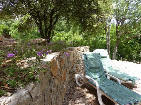 Natural landscape, Garden, Garden view, sunbed