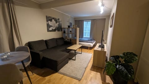 Sjarmerende og sentral hybel med egen Inngang Condominio in Oslo
