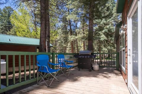 The Twilight Cabin #4 at Blue Spruce RV Park & Cabins House in La Plata County