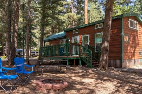 The Blue Devil Cabin #5 at Blue Spruce RV Park & Cabins House in La Plata County