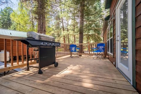 The Blue Devil Cabin #5 at Blue Spruce RV Park & Cabins House in La Plata County