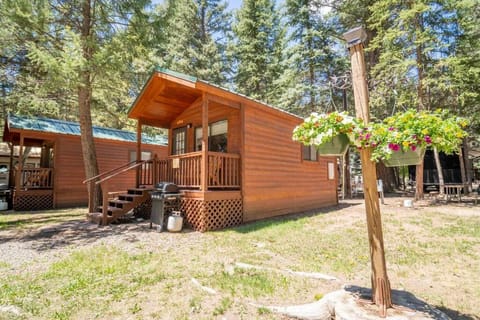 The Willows Cabin #7 at Blue Spruce RV Park & Cabins House in La Plata County