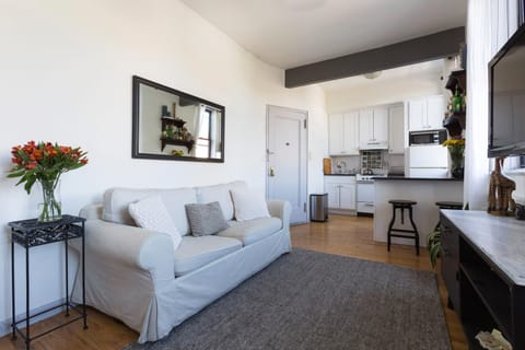 Sunny Stylish West Village Condo Apartamento in West Village