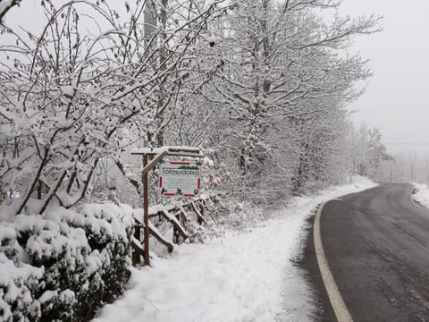 Property logo or sign, Winter, Autumn, Street view