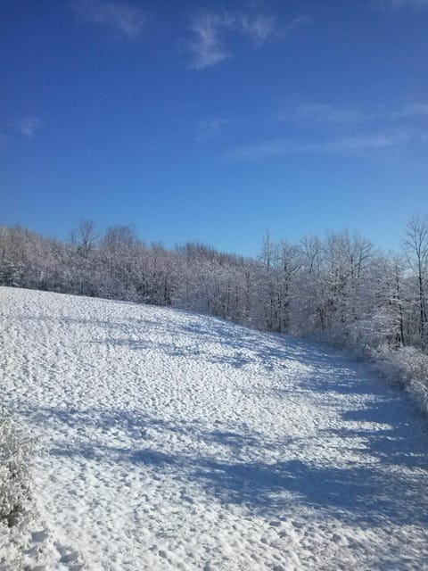 Winter, On site, Mountain view, Mountain view